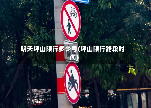 明天坪山限行多少号(坪山限行路段时间)