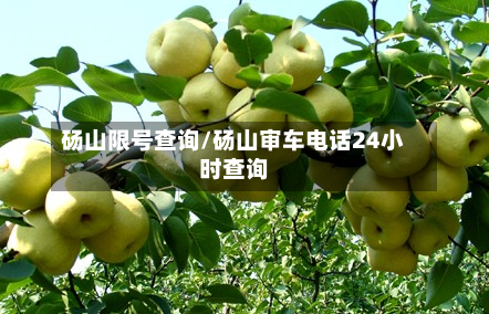 砀山限号查询/砀山审车电话24小时查询