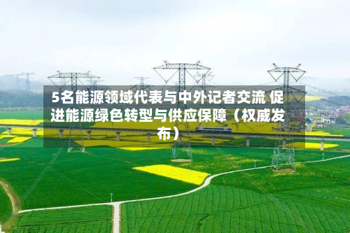 5名能源领域代表与中外记者交流 促进能源绿色转型与供应保障（权威发布）