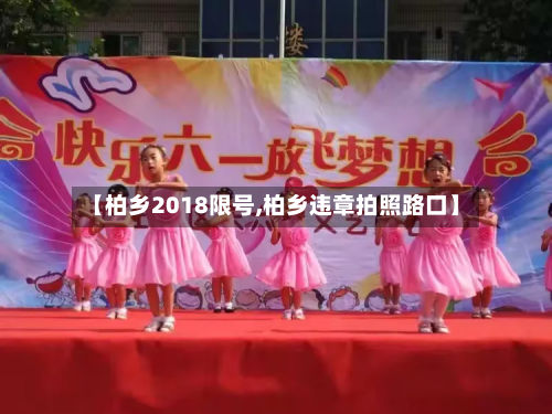【柏乡2018限号,柏乡违章拍照路口】