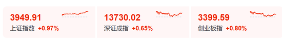 “小作文”，引发的大涨！