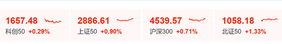 “小作文”，引发的大涨！